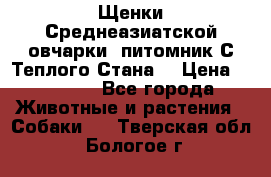 Щенки Среднеазиатской овчарки (питомник С Теплого Стана) › Цена ­ 20 000 - Все города Животные и растения » Собаки   . Тверская обл.,Бологое г.